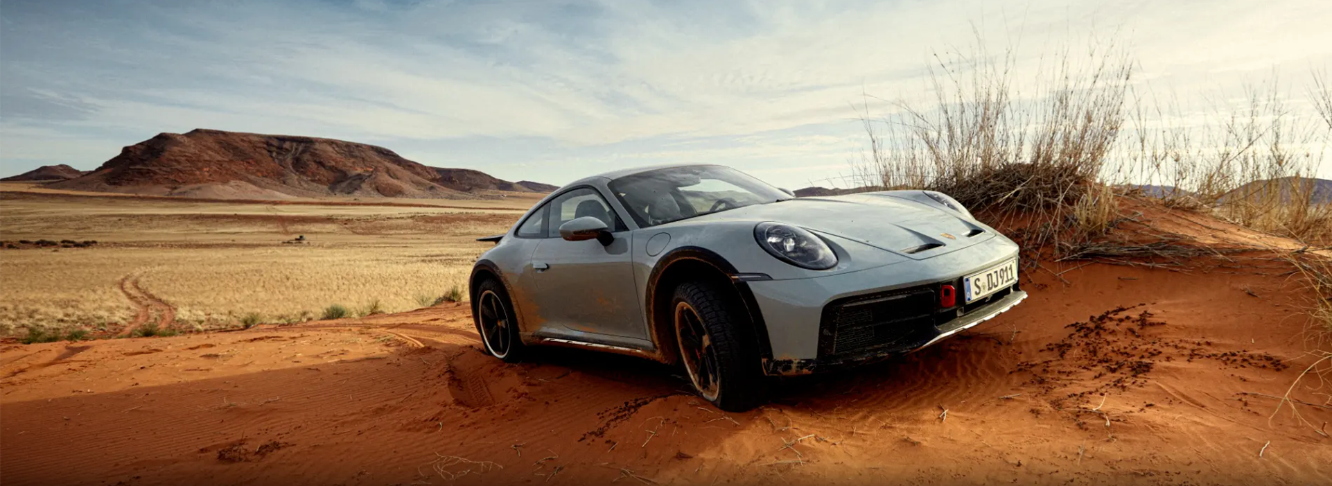 porschebanner